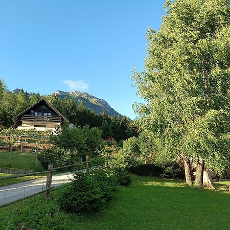 Kralj Matjaz - The Green Escape Under Alps Golnik Ngoại thất bức ảnh