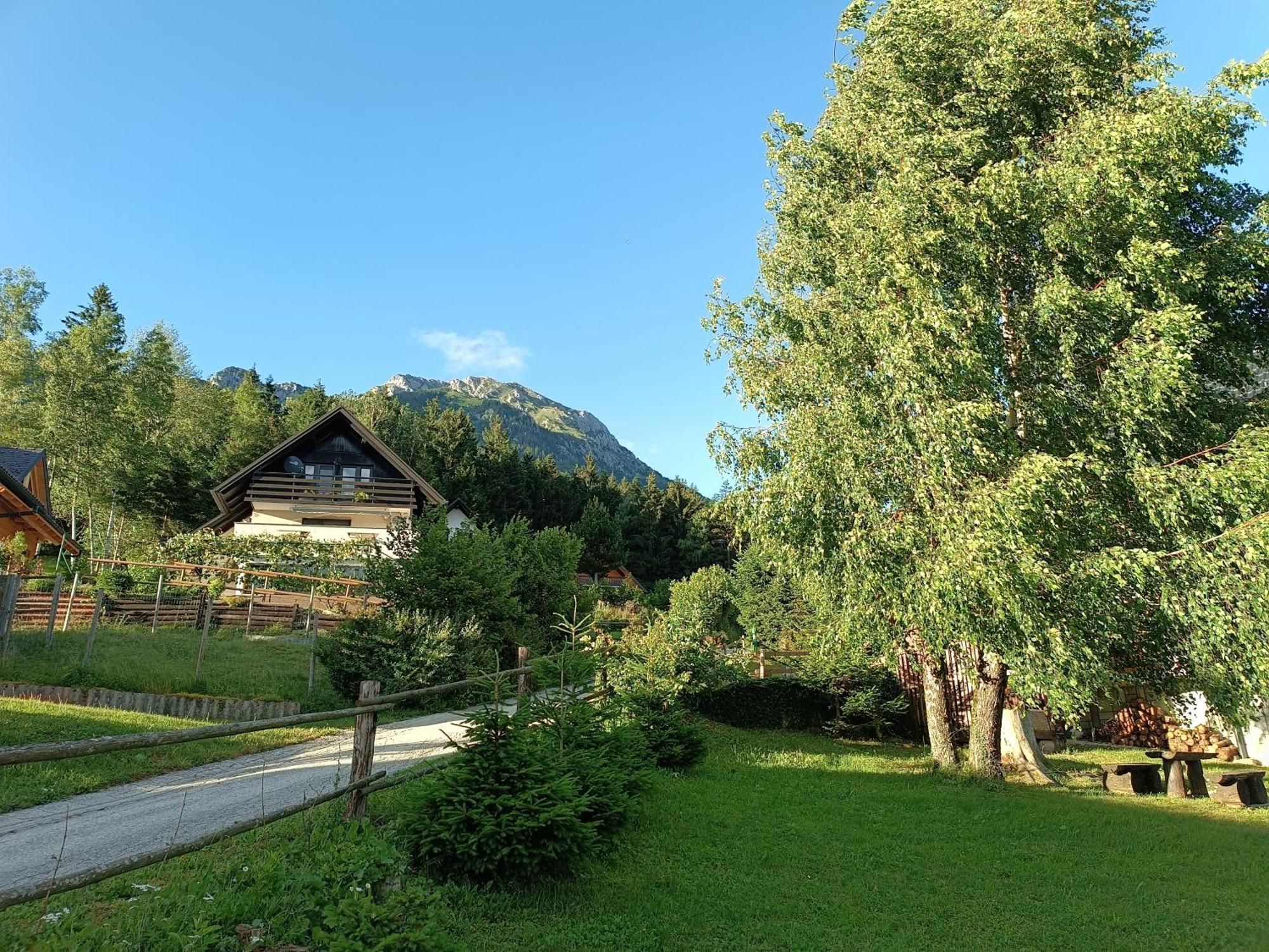 Kralj Matjaz - The Green Escape Under Alps Golnik Ngoại thất bức ảnh