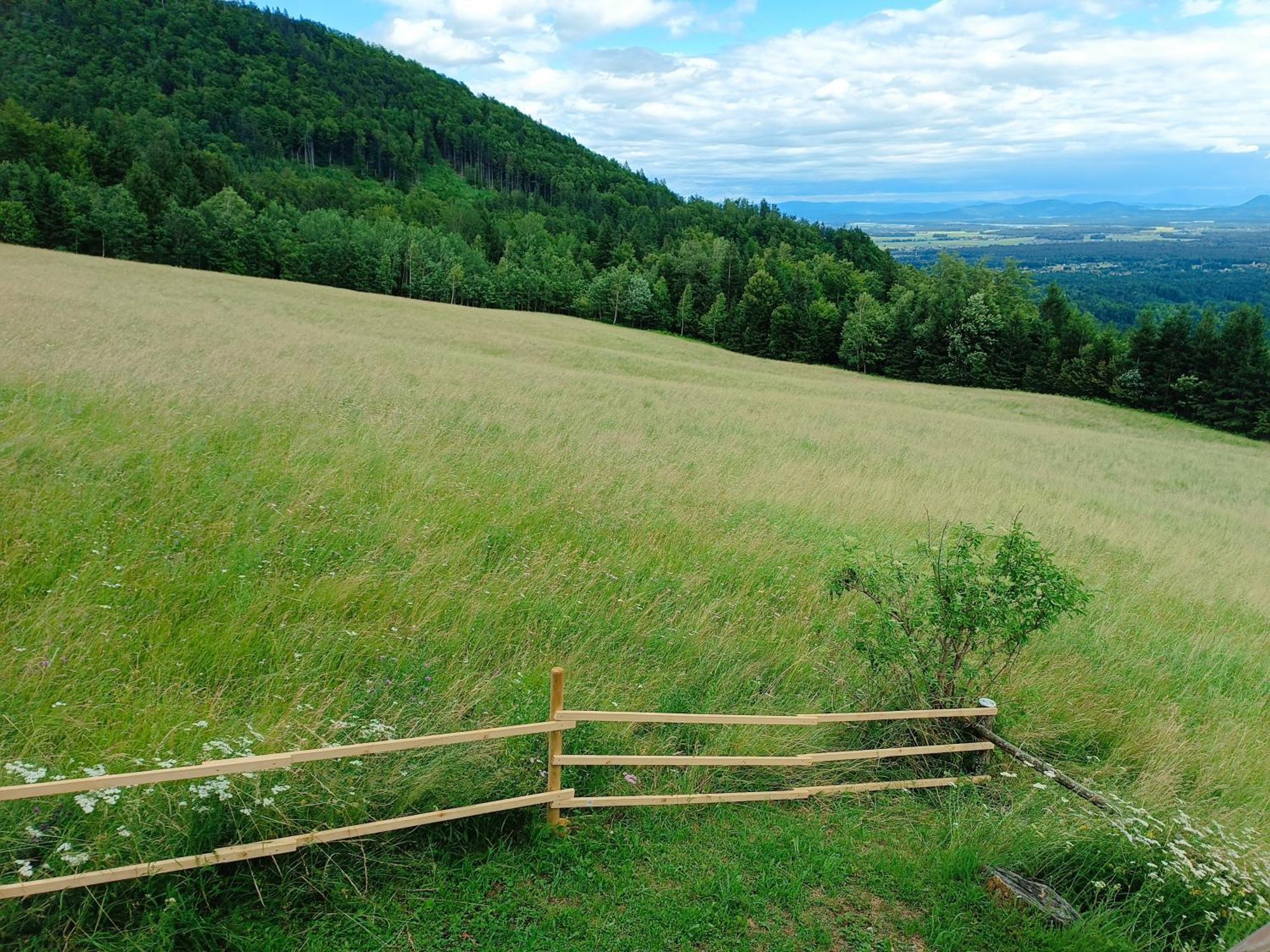 Kralj Matjaz - The Green Escape Under Alps Golnik Ngoại thất bức ảnh