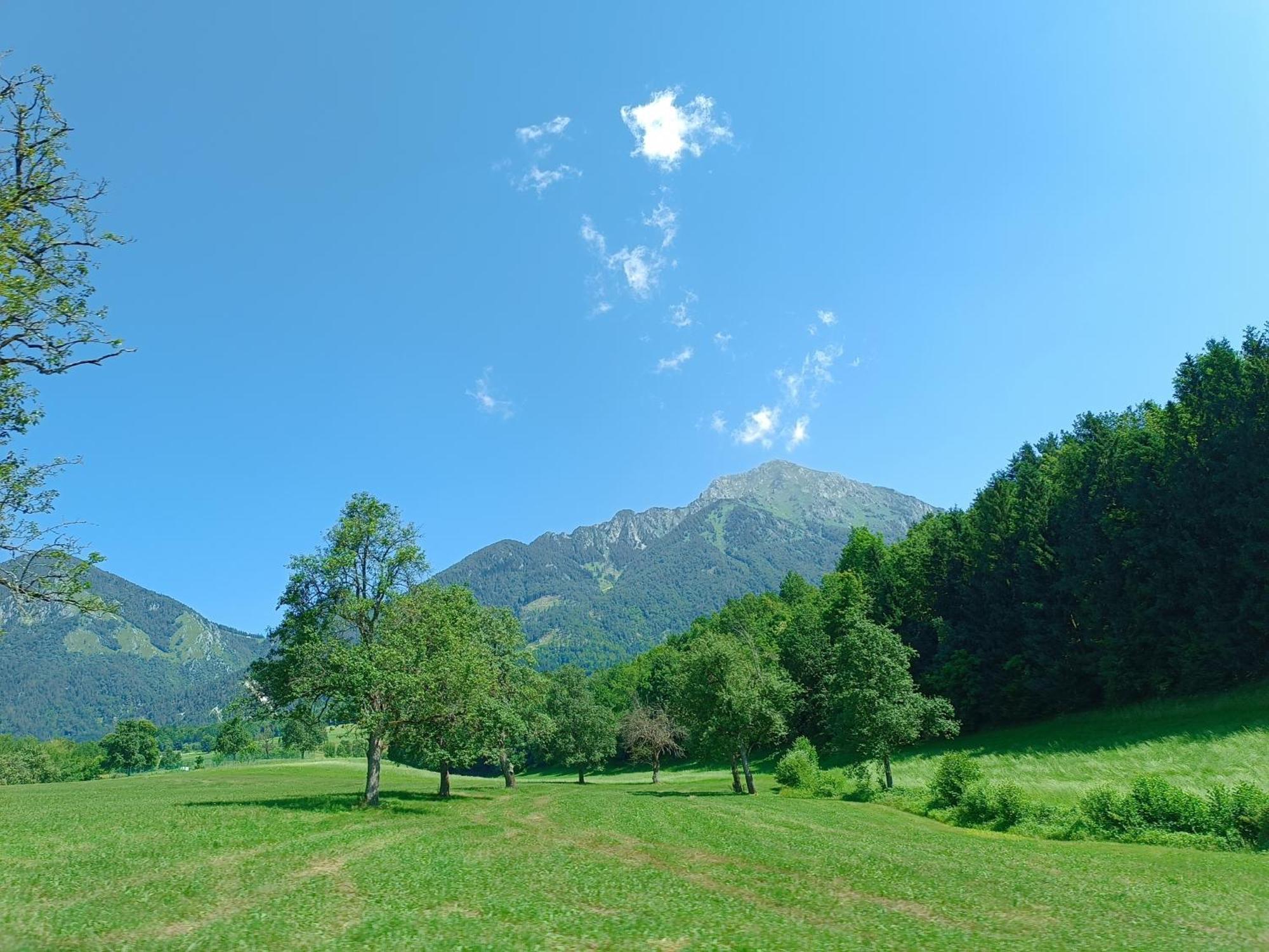 Kralj Matjaz - The Green Escape Under Alps Golnik Ngoại thất bức ảnh